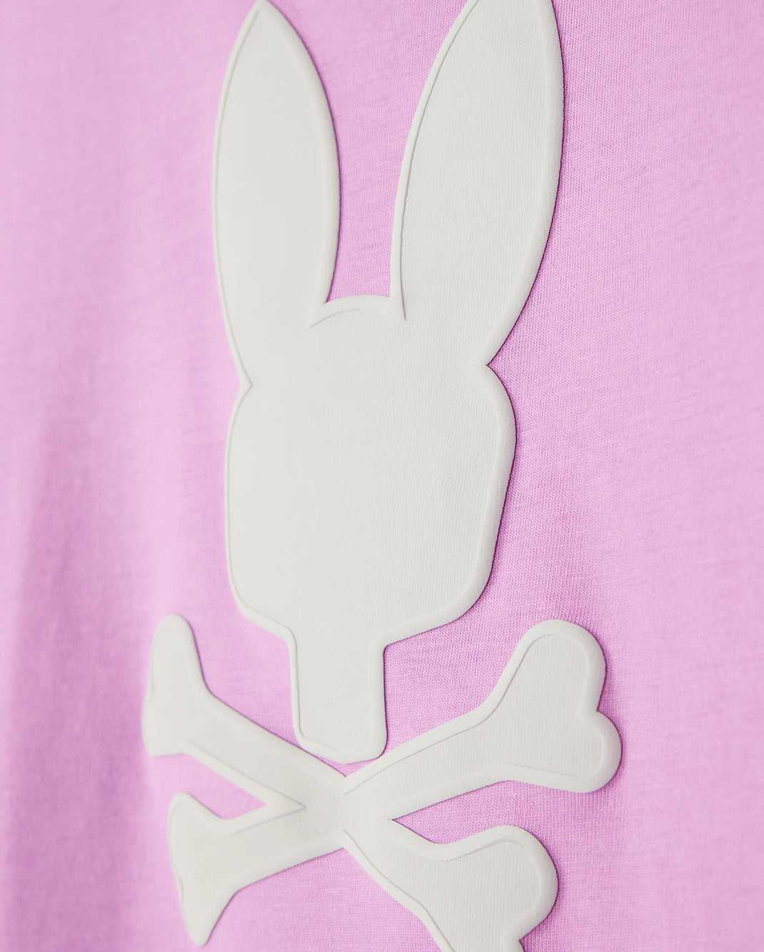 Tees Psycho Bunny Houston Graphic Tee Violette Enfant | AFX-34270221